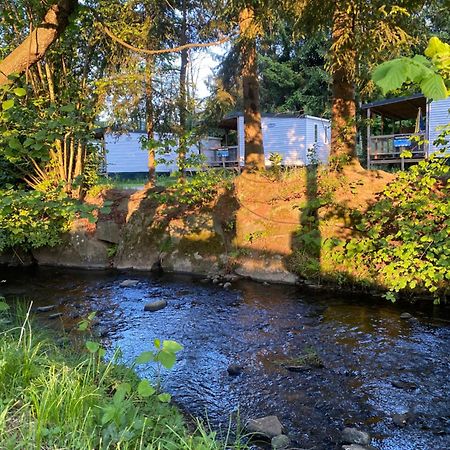 S-Chalet Camping Mit Comfort Im Schwarzwald Steinach  Esterno foto