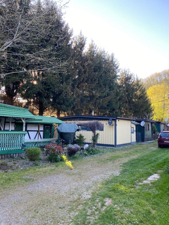 S-Chalet Camping Mit Comfort Im Schwarzwald Steinach  Esterno foto